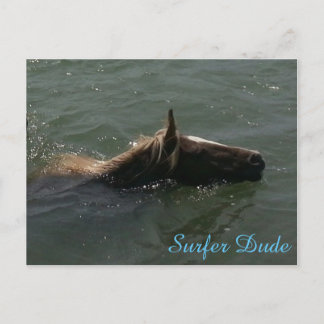 Cartão postal Surfer Dude