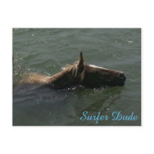 Cartão postal Surfer Dude