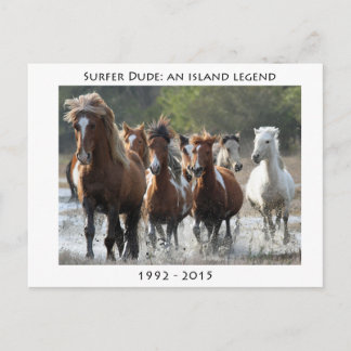 Cartão Postal Surfer E Sua Banda
