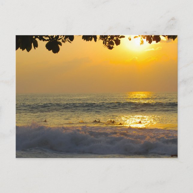 Cartão Postal Surfistas em Reflexões Sunshine no Sunset (Frente)