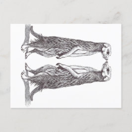 CARTÃO POSTAL SURICATA LOVE. MEERKAT LOVE.