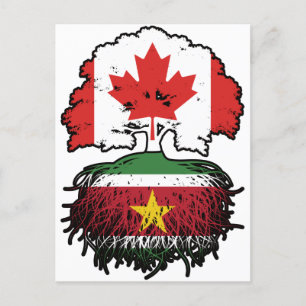 Cartão Postal Suriname Surinamese Canada Tree Roots
