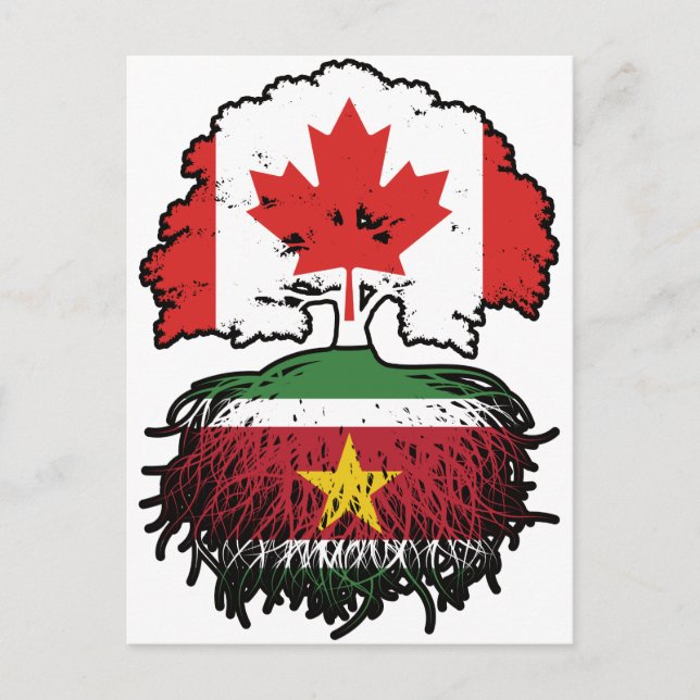 Cartão Postal Suriname Surinamese Canada Tree Roots (Frente)