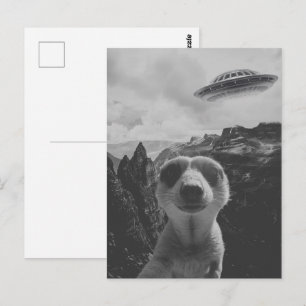 Cartão Postal Surrealista selfie de suricata em uma paisagem mon