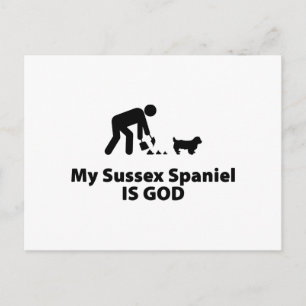 Cartão Postal Sussex Spaniel