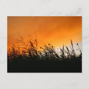 Cartão Postal Sussurrando Leeds No Sunset Smokey
