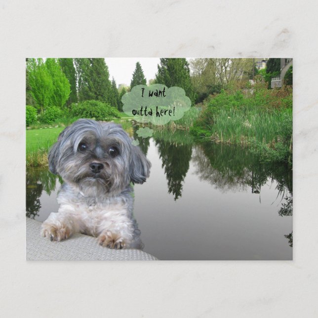 Cartão Postal Sutcliffe Park, Vancouver, BC — Cartão-postal (Frente)