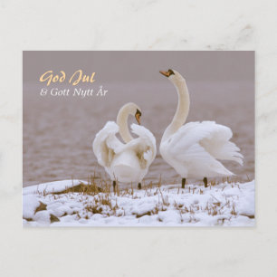 Cartão Postal Svanpar i nysnö CC0804 Julhälsning