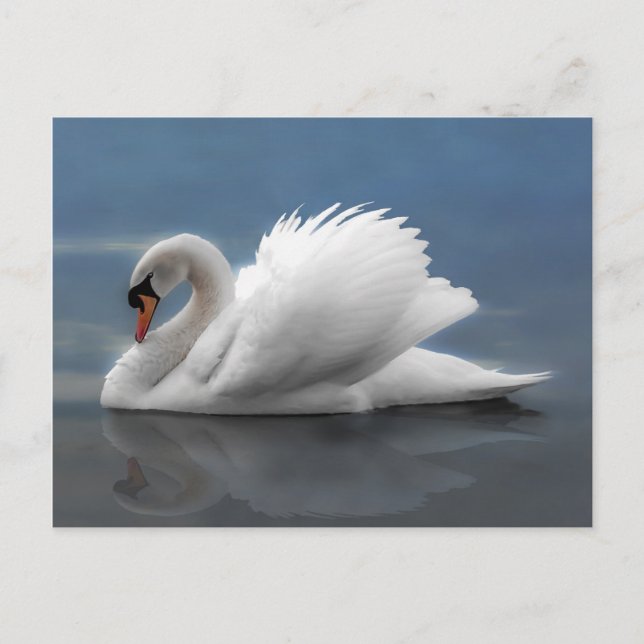 Cartão Postal Swan (Frente)