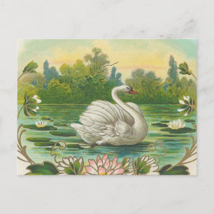 Cartão Postal Swan
