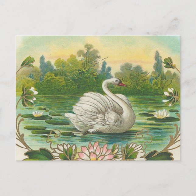 Cartão Postal Swan (Frente)