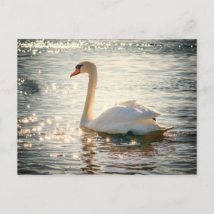 Cartão postal Swan