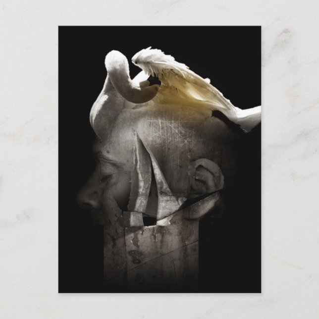 Cartão Postal Swan 2013 (Frente)