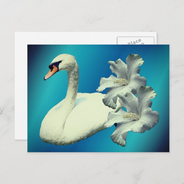 Cartão Postal Swan And Hibiscus Flower Nature Personalized (Frente/Verso)
