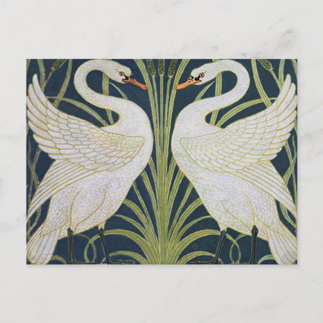 Cartão Postal Swan Art Nouveau Dois Swans (Frente)