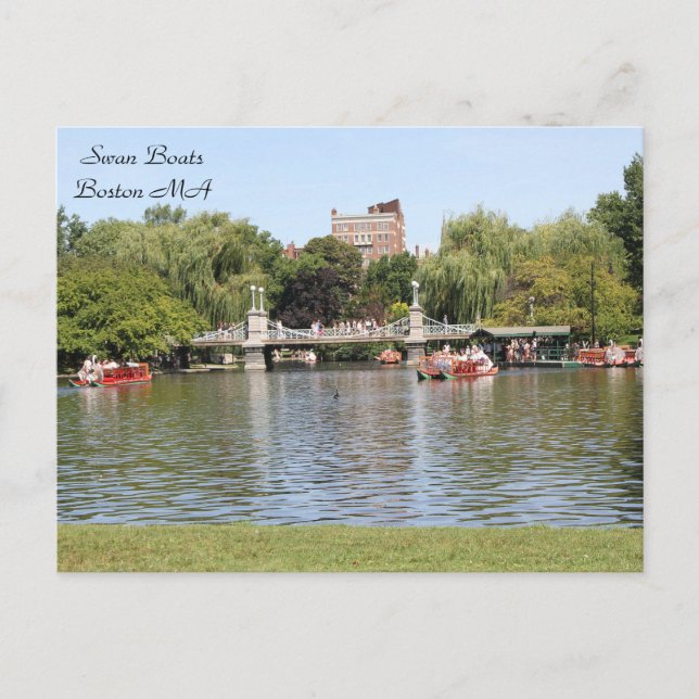 Cartão Postal Swan Boats, Boston, MÃES, fotografia (Frente)