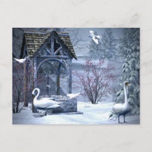 Cartão Postal Swan Branco No Natal Da Neve