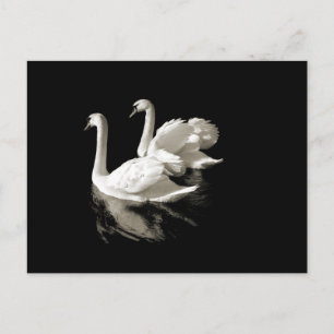 Cartão postal Swan Lake