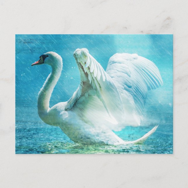 Cartão Postal Swan Mágico durante um Chá de Verão (Frente)