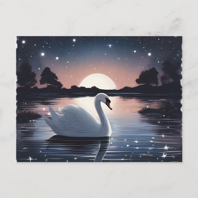 Cartão Postal Swan Nadando em um lago à noite (Frente)