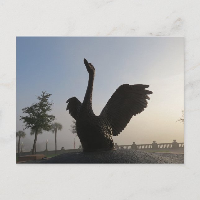 Cartão Postal Swan no voo Blue background Lakeland, FL (Frente)