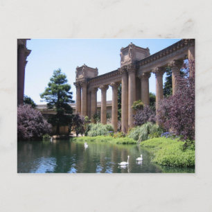 Cartão Postal Swan Songs Palace of Fine Arts Photo Postcards