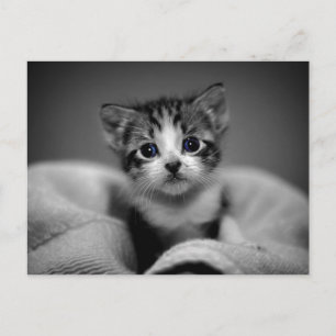 Cartão Postal Sweet Tabby Kitten