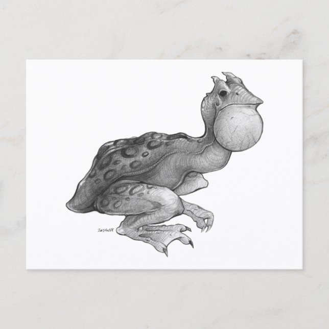 Cartão Postal Swog - Cartão-postal (Frente)