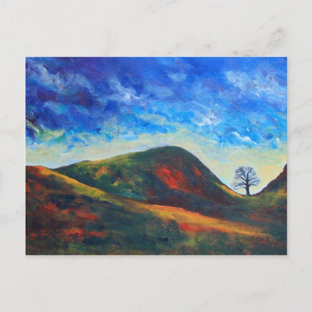 Cartão Postal Sycamore Gap (Frente)