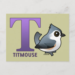 Cartão Postal T é para o Titmouse