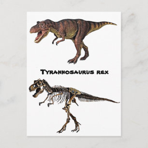 Cartão Postal T-rex Flesh-n-Bone,Cartão postal