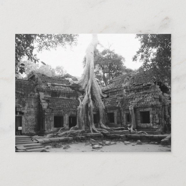Cartão Postal Ta Prohm (Frente)