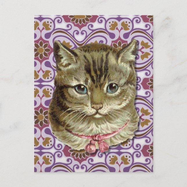 Cartão Postal Tabby cat (Frente)