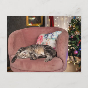 Cartão Postal Tabby Cat Christmas Snooze