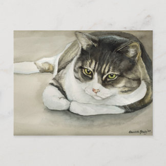 Cartão Postal Tabby Cat Original Art Postcard
