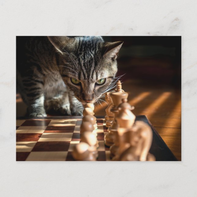 Cartão Postal Tabby Cat Playing Chess (Frente)