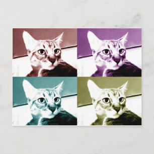 Cartão Postal Tabby Cat - Pop Art