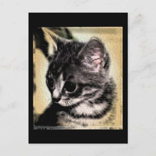 Cartão Postal Tabby Kitten (Frente)