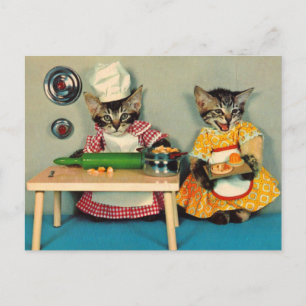 Cartão Postal tabby kitten chef e tabby kitten Assistant