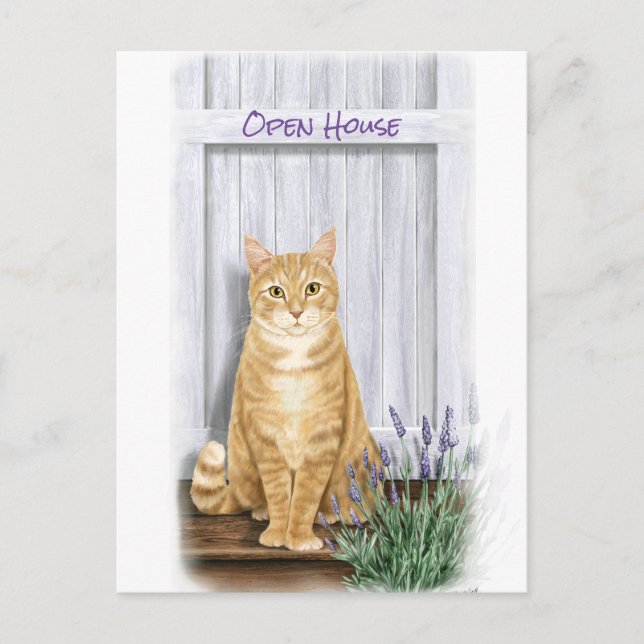 Cartão Postal Tabby Laranja Gato à Porta com Flores de Lavanda (Frente)