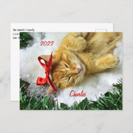 Cartão Postal Tabby Laranja Personalizado - Natal