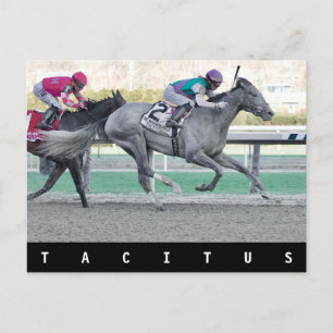 Cartão Postal Tacitus vencendo o Wood Memorial Stakes