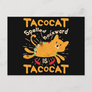 Cartão Postal Tacocat soletrou para trás o Taco do gato de Cinco