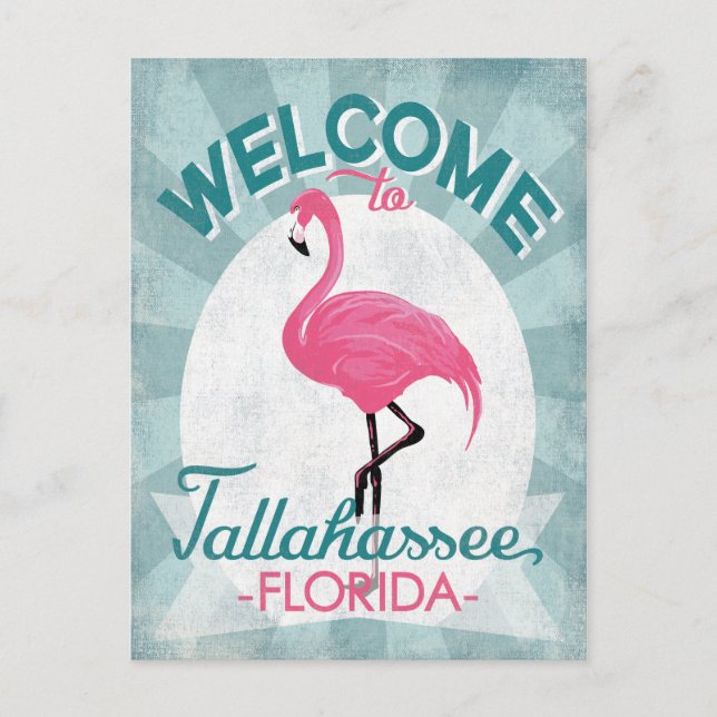 Cartão Postal Tallahassee Florida Pink Flamingo Retro (Frente)