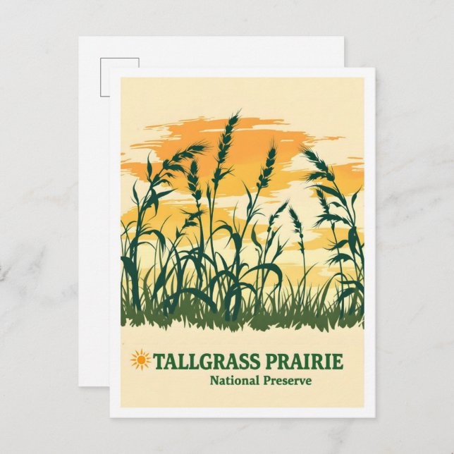 Cartão Postal Tallbeans Prairie National Preserve Kansas Viagem (Frente/Verso)
