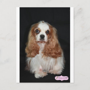 Cartão Postal Tallulah