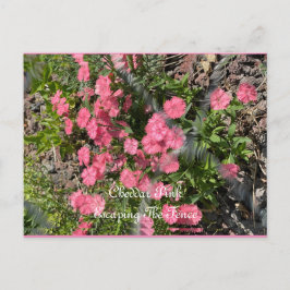 Cartão Postal, Tamanho: Cartão Postal Padrão, Pape