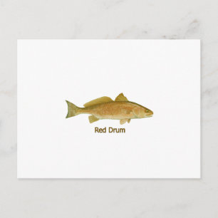 Cartão Postal Tambor Vermelho (com título)