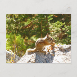 Cartão Postal Tâmia da Montanha Rochosa