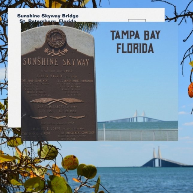 Cartão Postal Tampa Bay Florida Sunshine Skyway Bridge (Criador carregado)